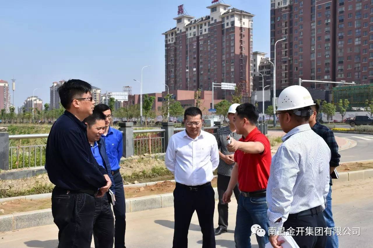 金开乐动(中国)Ledong·官方网站高管深入在建重大、重点项目进行调研