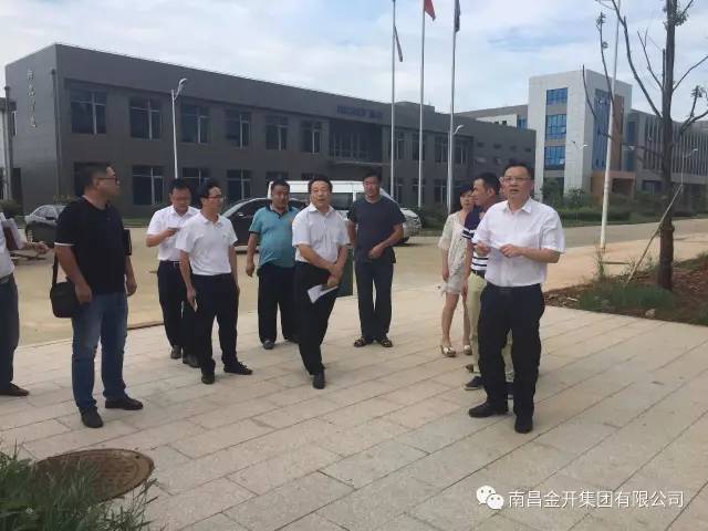 区管委会副调研员谭钟亮调研金开乐动(中国)Ledong·官方网站在建电力项目