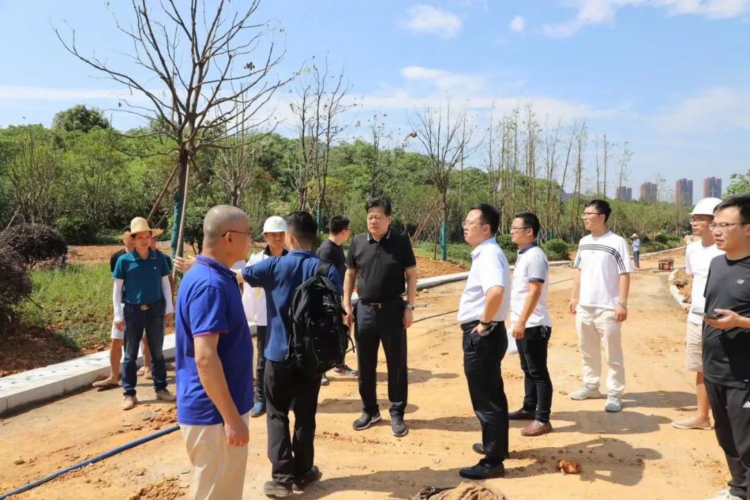 董事长谢荣华调研乐动(中国)Ledong·官方网站建设项目安全生产和项目推进工作