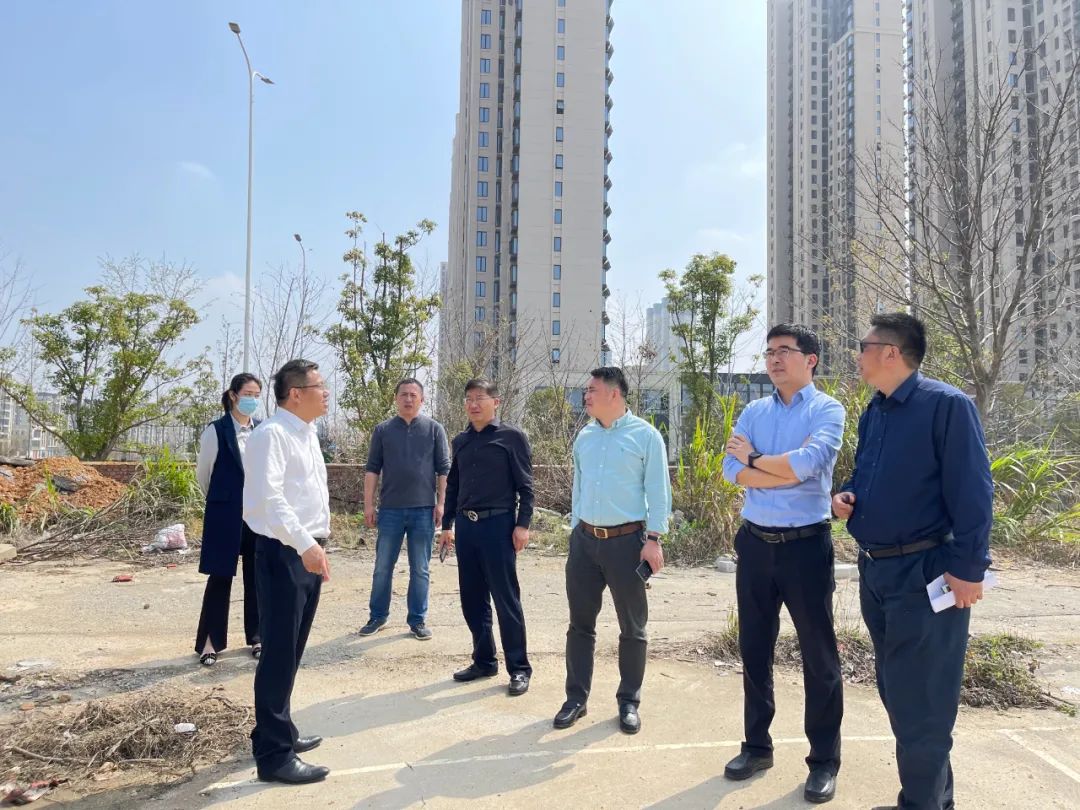 贺敏现场调研乐动(中国)Ledong·官方网站地产板块新摘土地项目