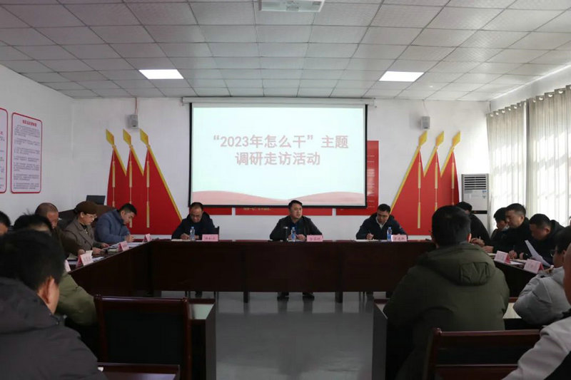 乐动(中国)Ledong·官方网站领导调研子公司：以市场化发展彰显平台功能