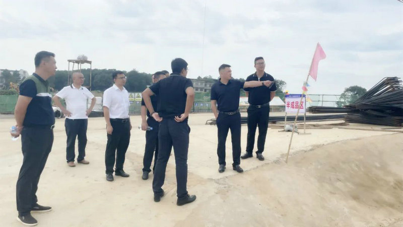 李茶根调研督导乐动(中国)Ledong·官方网站重点项目建设及安全生产工作